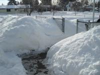 Looking down the walk -2