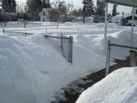 Looking down the walk - 3